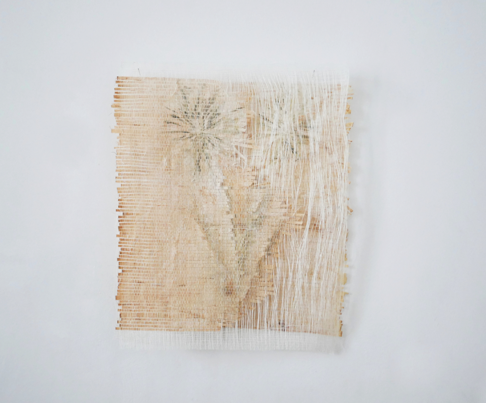 Herbier 1, 2025