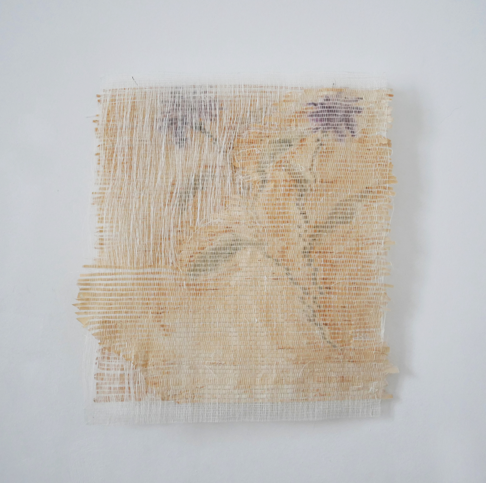 Herbier 2, 2025