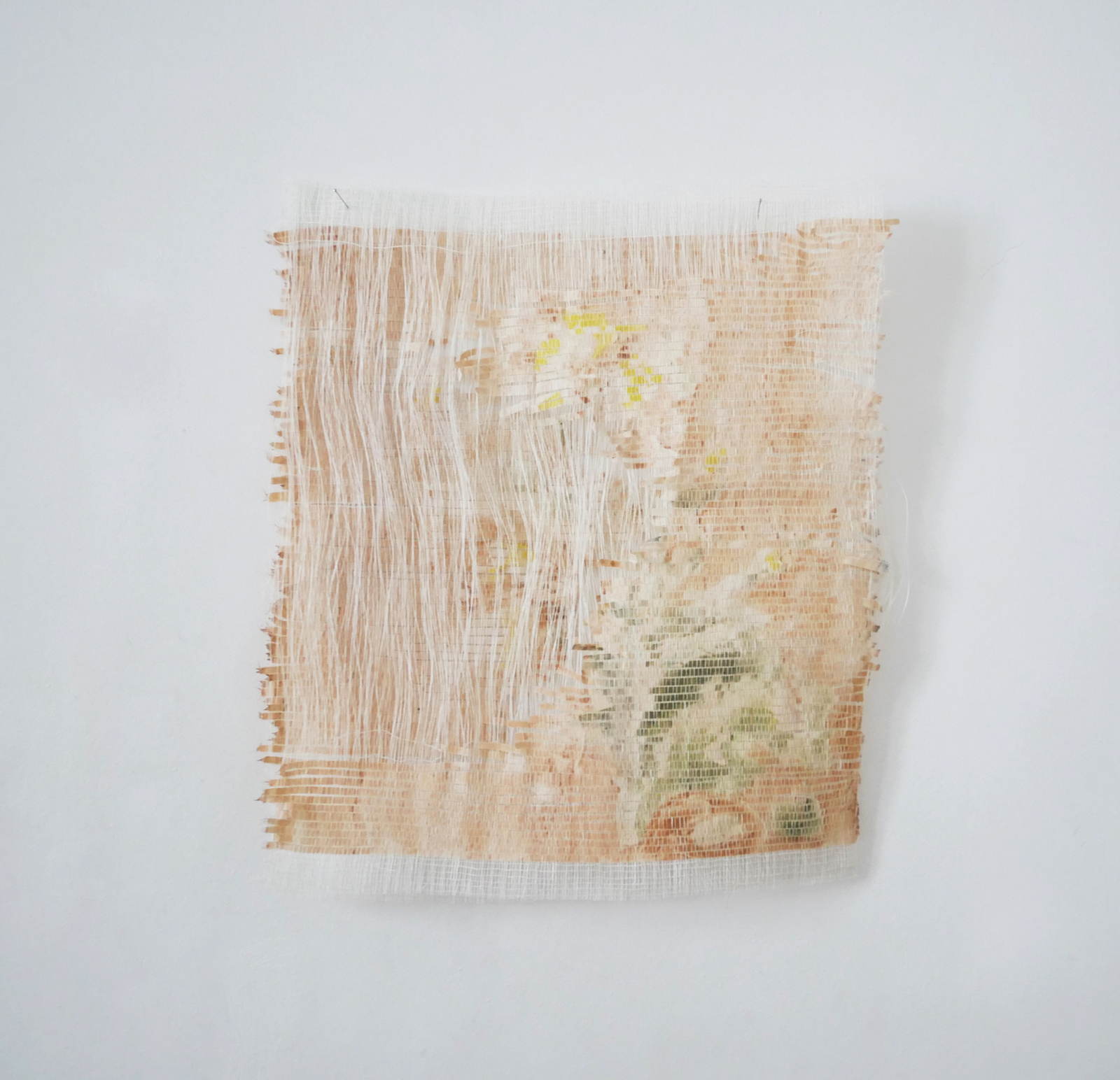 Herbier 3, 2025