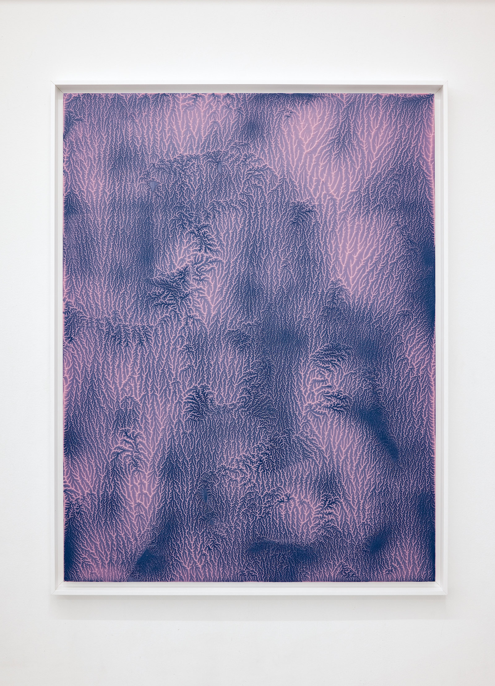 Maxime Verdier