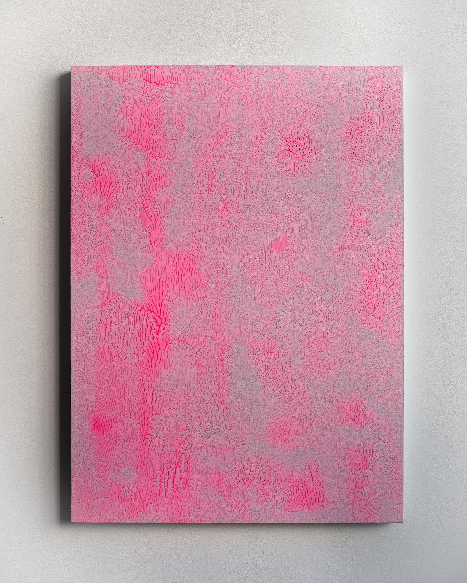 Maxime Verdier