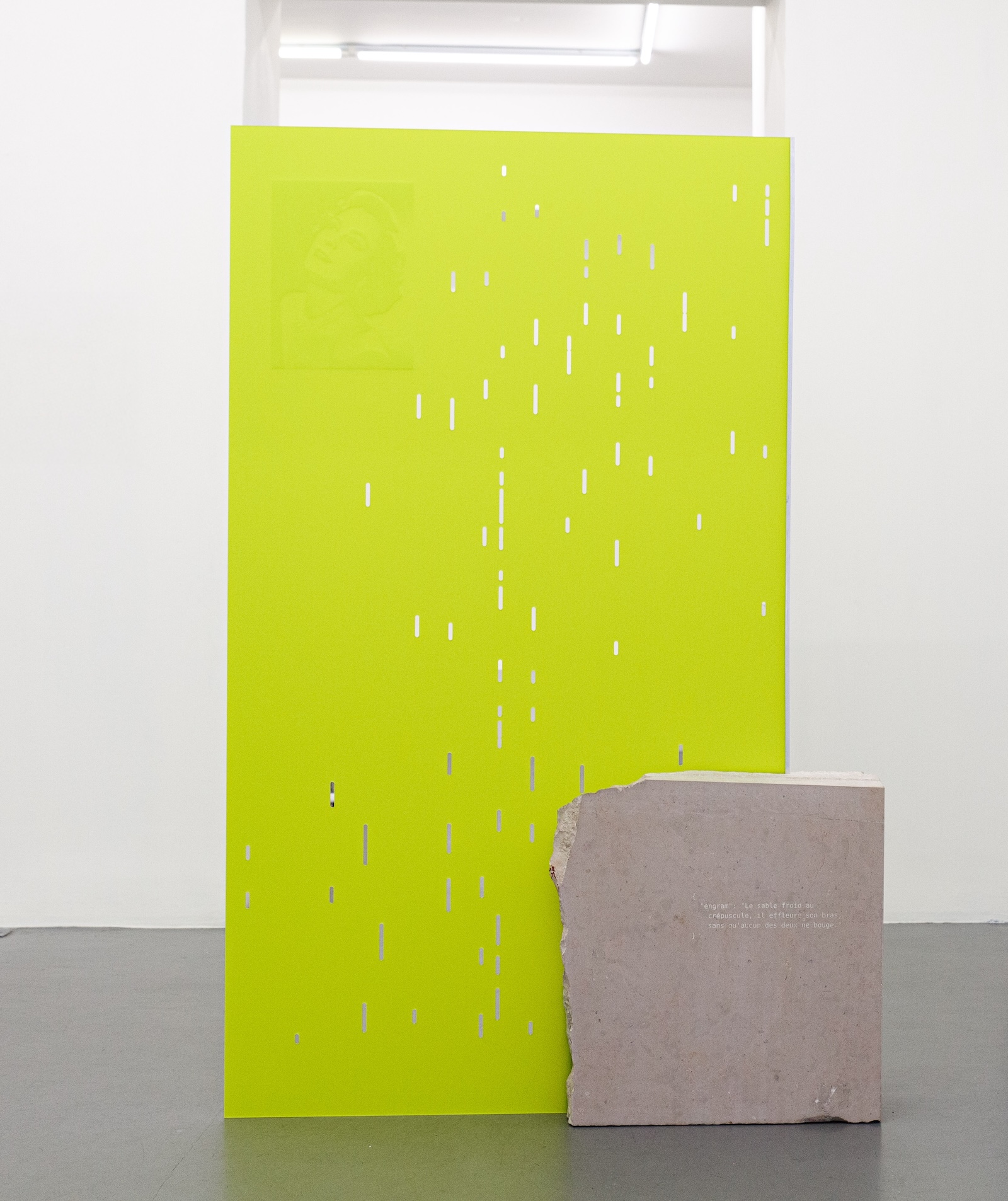 Souvenir �cran - Selma, 2026