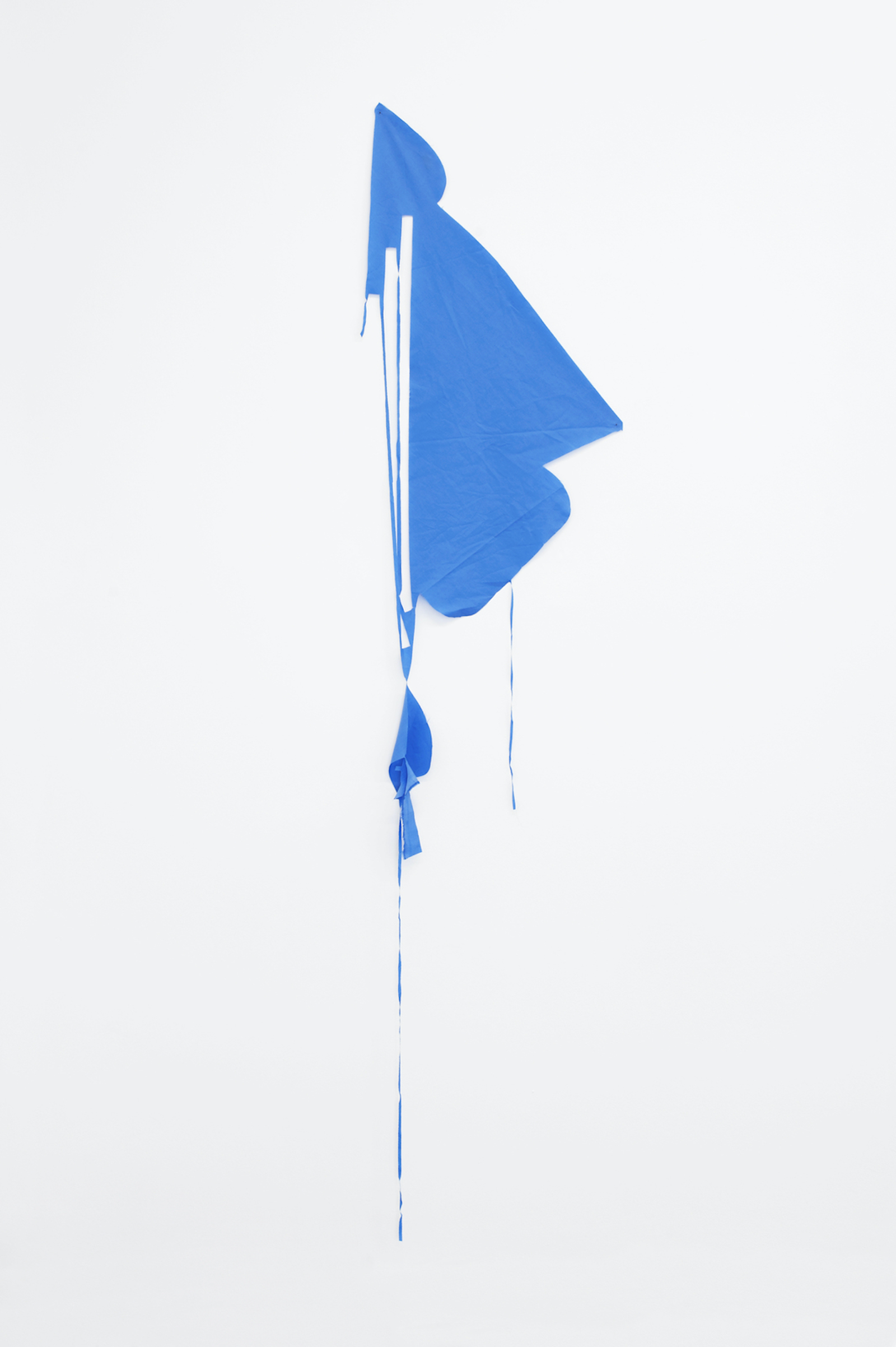 Au delà du nez, 2016