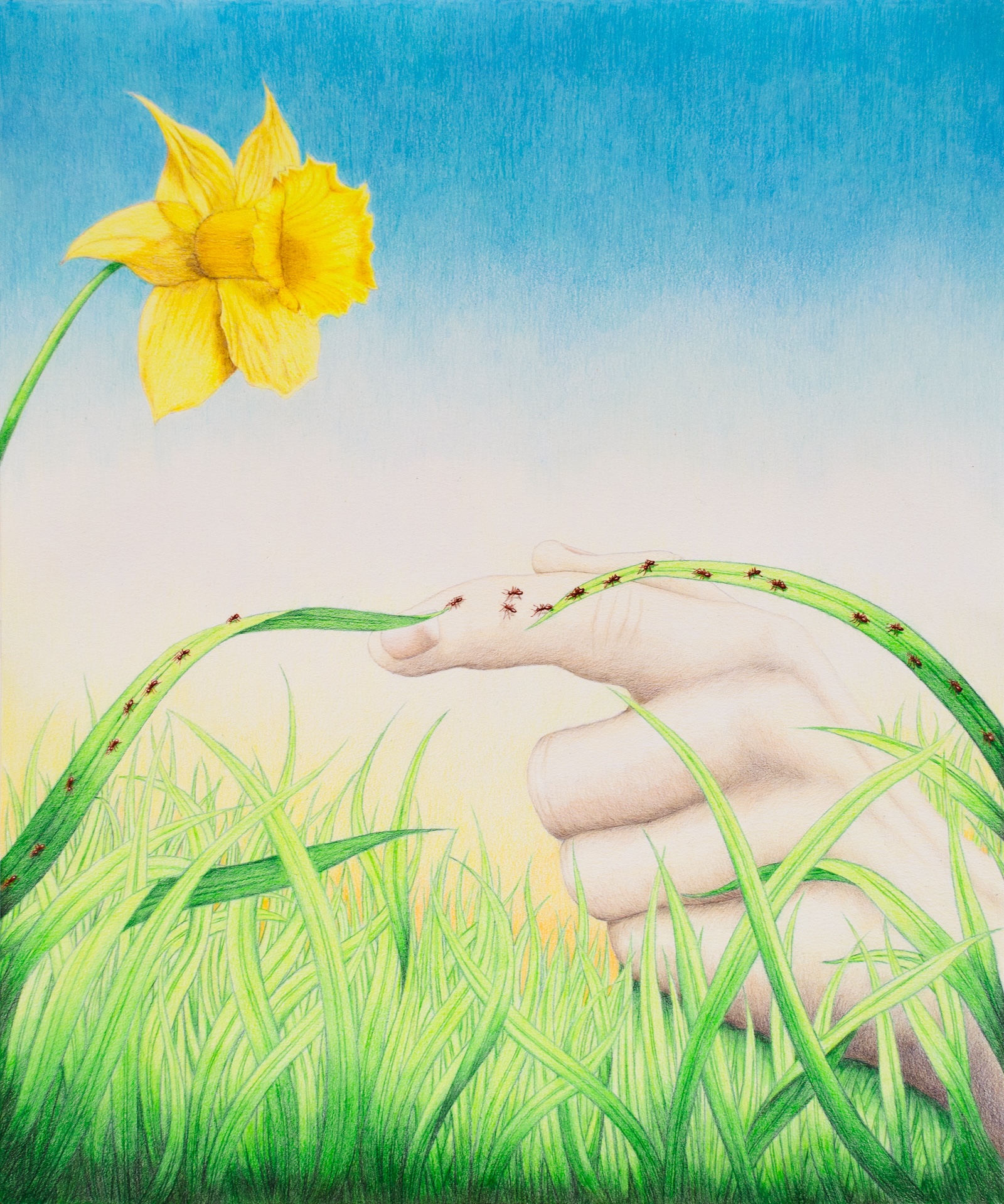 Ce qui nous lie, 2026