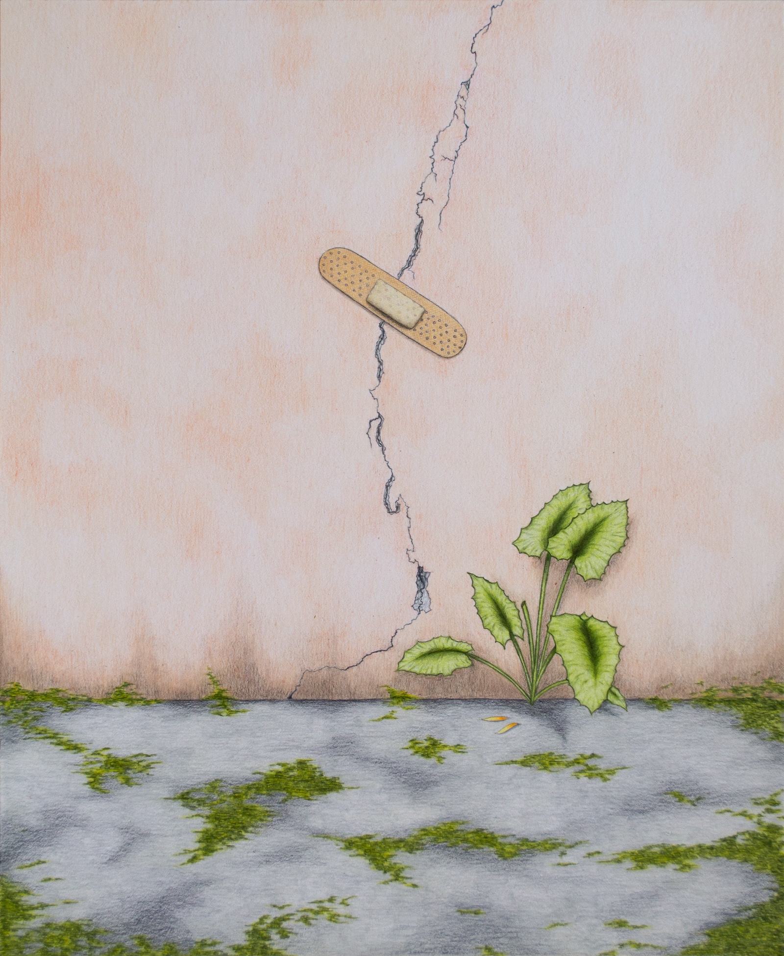 Maxime Verdier