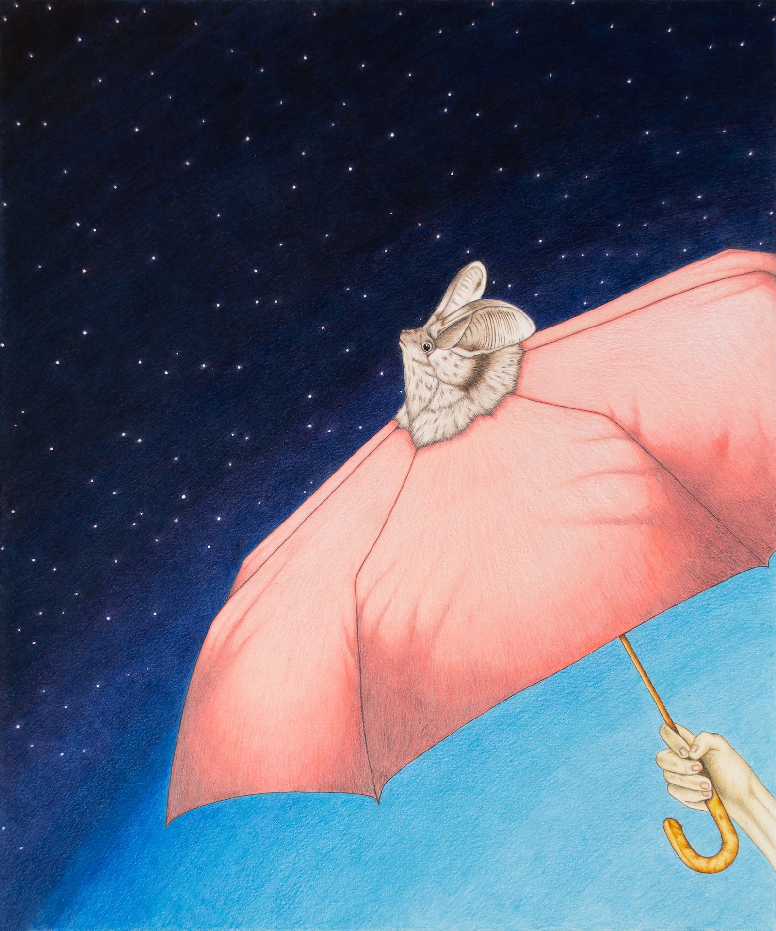 Maxime Verdier