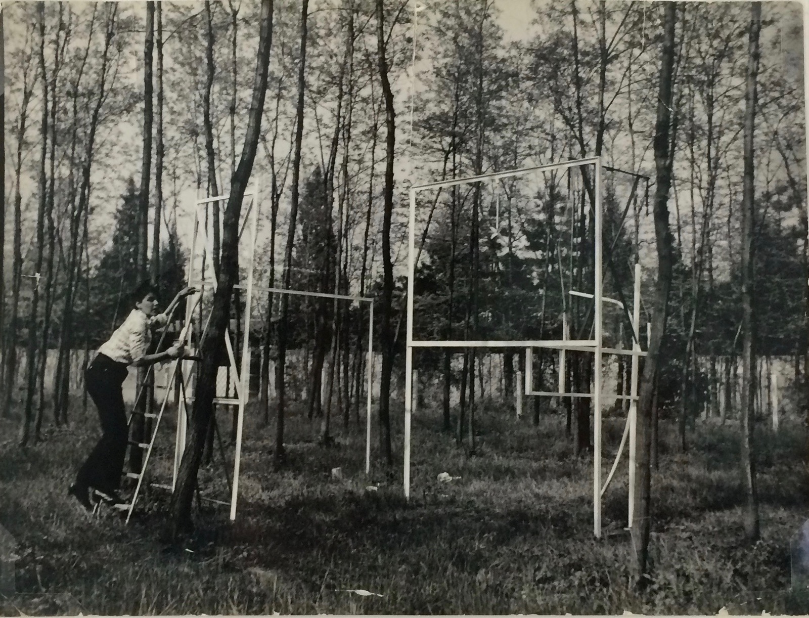 Bernar Venet