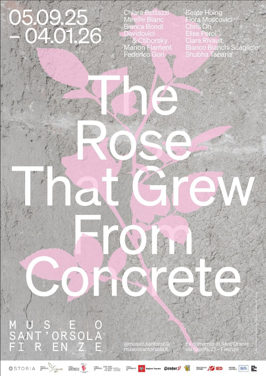 The Rose That Grew From Concrete