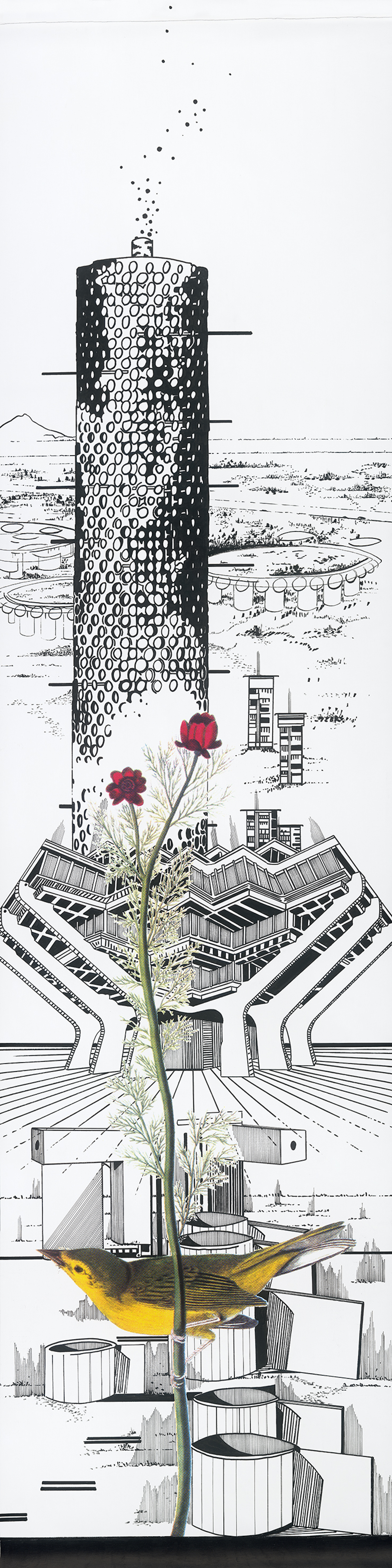 Aux oiseaux, l'hiver